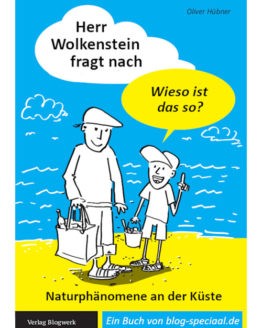 Cover Herr Wolkenstein E-Book