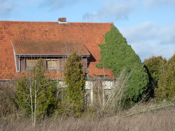 Lost Place Münsterland, Bauernhof in Ahaus